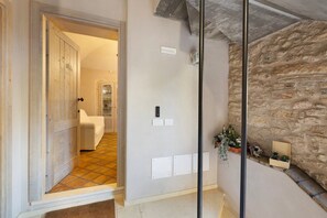 Una habitación con puerta de madera, pared de piedra y una planta pequeña en el suelo.