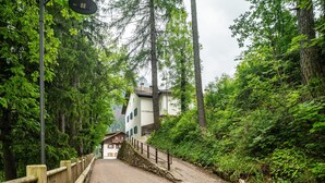 Ein Kopfsteinpflasterweg führt zu einem Gebäude mit weißer Fassade und zahlreichen Fenstern, umgeben von üppigem Grün und hohen Bäumen.