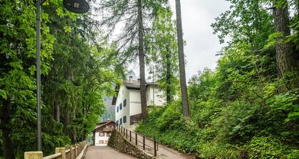 Apartment 'Gran Deluxe Ciasa Soldà - Apt 10' with Mountain View, Shared Garden and Wi-Fi