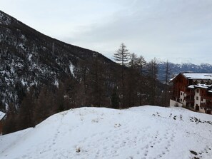 Eksteriør