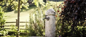 Angererhof - Holiday Apartment 'Simon' with Mountain View, Private Garden and Wi-Fi