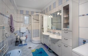 Shower, hair dryer
