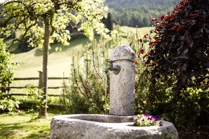 Área da propriedade