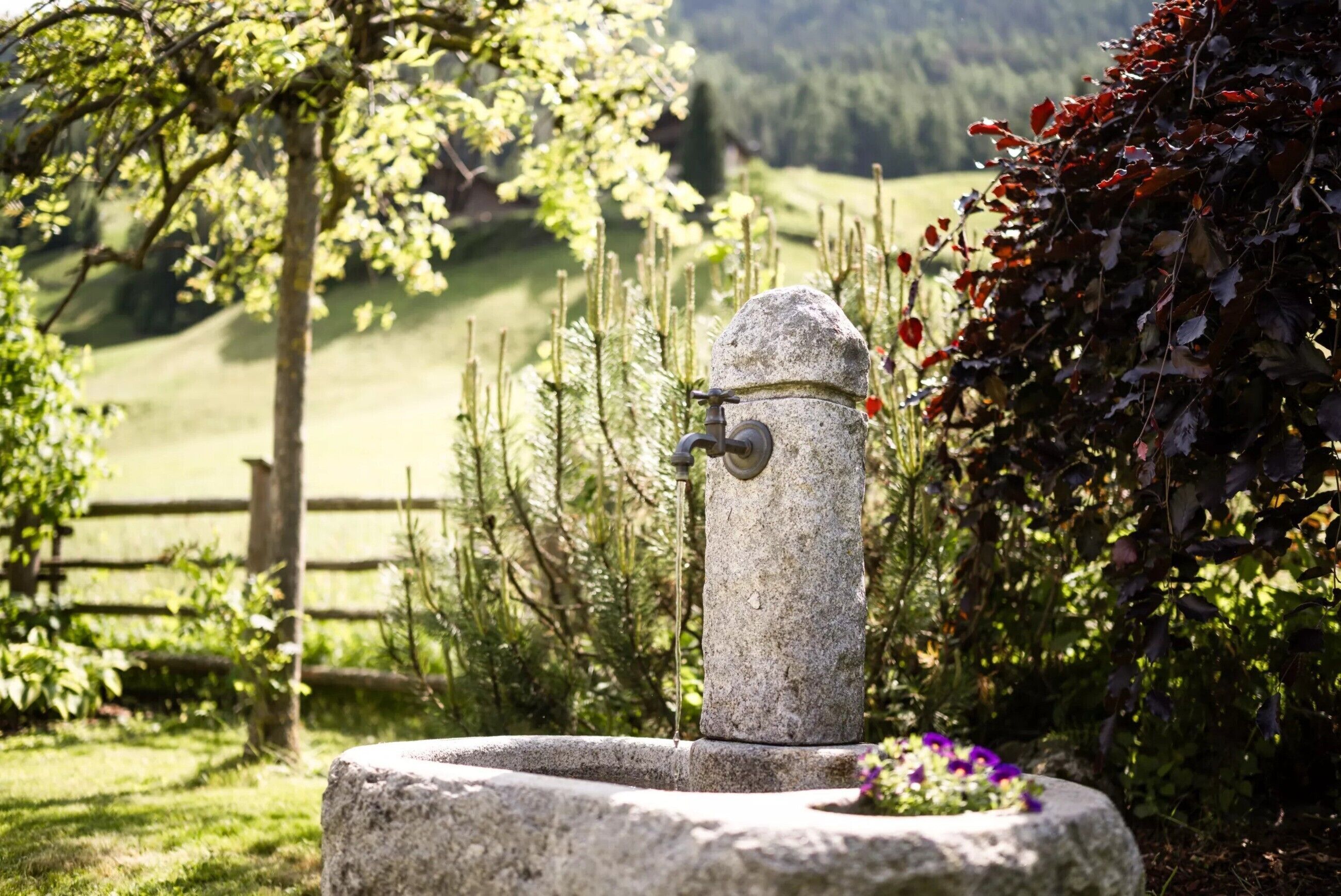 Enceinte de l’hébergement