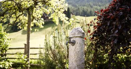Angererhof - Holiday Apartment 'Anton' with Mountain View, Balcony and Wi-Fi
