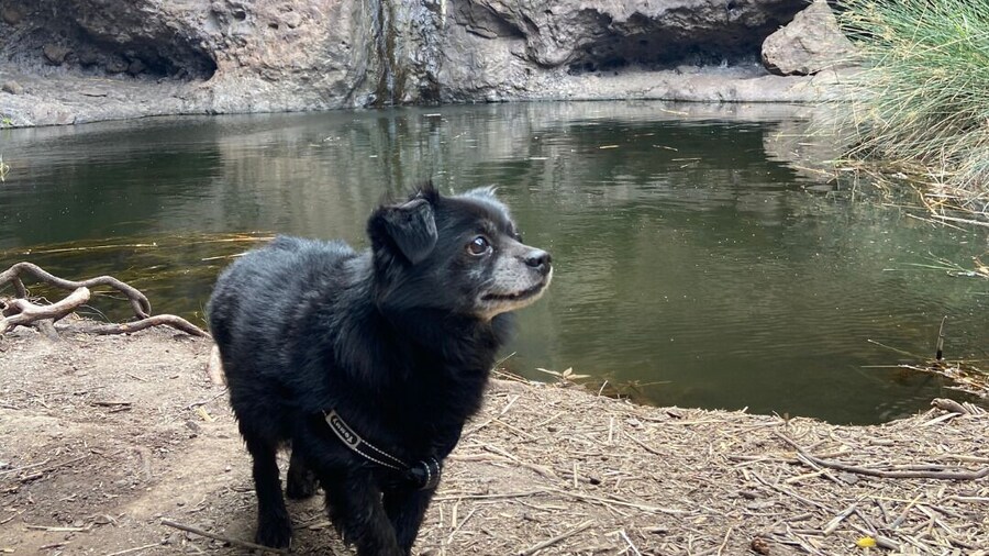 Alojamientos Charco Azul