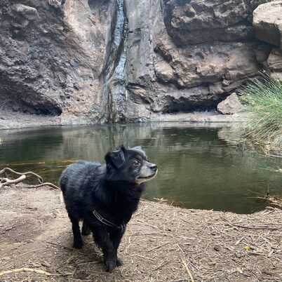 Alojamientos Charco Azul