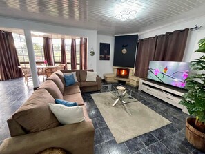 Smart-TV, Kamin