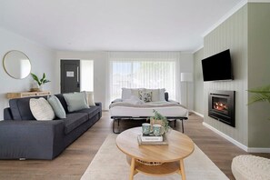 TV, fireplace, books