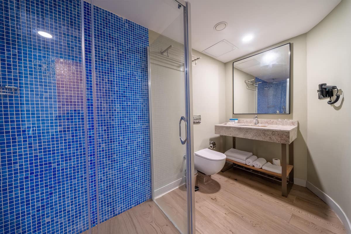 Rainfall showerhead, free toiletries, hair dryer, bathrobes