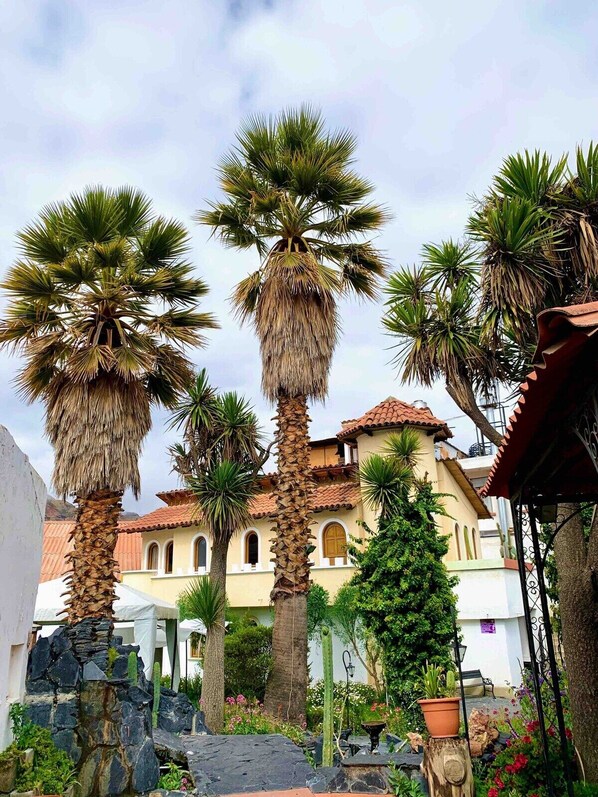Stroll through a serene courtyard surrounded by palm trees and a traditional building with arched windows.