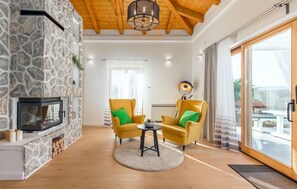 TV, fireplace, DVD player, ping pong