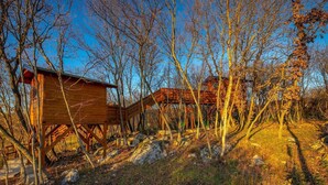 Une cabane en bois, entourée d’arbres, sous un ciel dégagé.