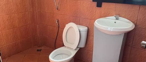 Une salle de bain avec des toilettes, un lavabo et une douche.