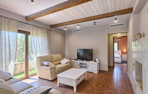 Televisión y chimenea 