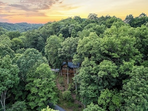 A cabin surrounded by dense forest, with a clear sky above. - Peaceful Mountain Escape with Ridge Views & Hot Tub (Maggie Valley)