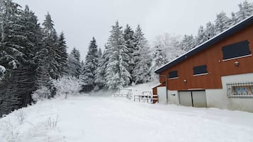 Exteriör