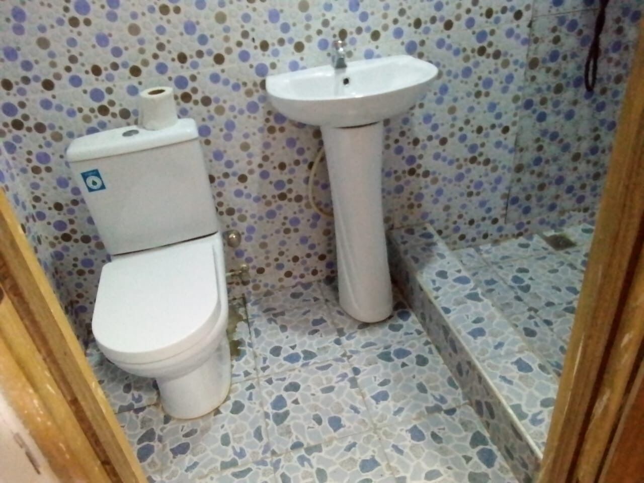 A small bathroom with a toilet and a pedestal sink. The floor has a speckled tile pattern.