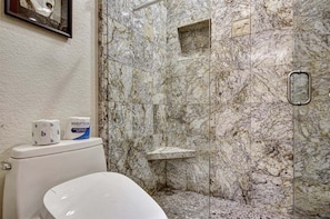Shower, hair dryer