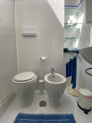 Regadera, secadora de cabello, bidet, toallas 