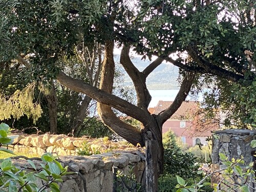 Villa Elisa - Wohnung im Grünen im Exklusiven Porto Rotondo