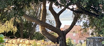 Villa Elisa - Wohnung im Grünen im Exklusiven Porto Rotondo