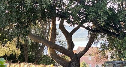 Villa Elisa - Wohnung im Grünen im Exklusiven Porto Rotondo