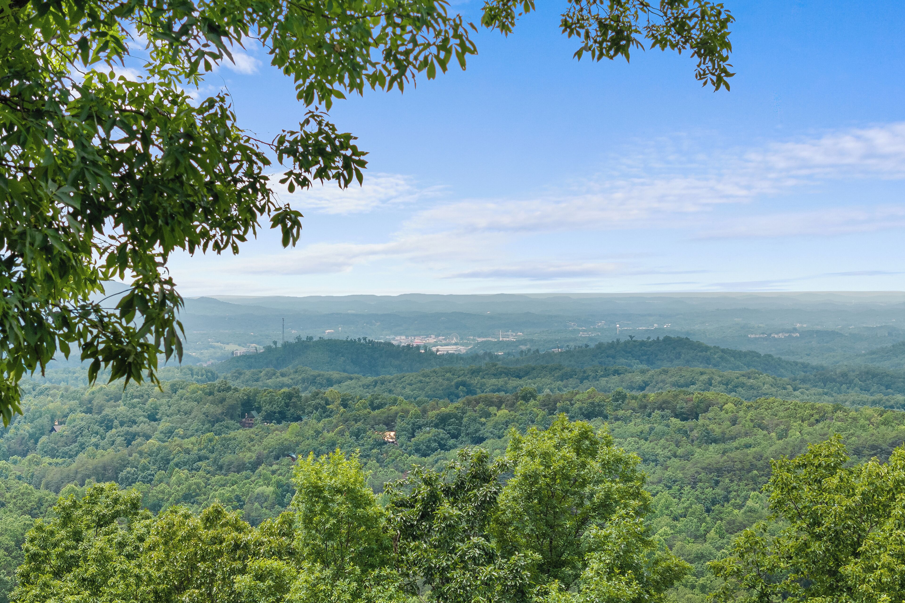 Ein weiter Blick auf eine üppige, grüne Waldlandschaft mit sanften Hügeln und blauem Himmel.