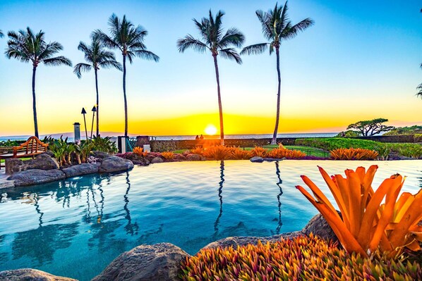 Ein Pool mit Sonnenuntergangsblick, Palmen und einer Bank.