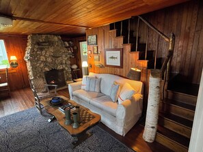 TV, fireplace, books