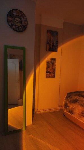 Habitación individual básica | Escritorio, espacio para trabajar con un portátil, wifi gratis