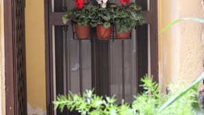 A door with a metal grill and three potted plants with red and white flowers. - GeLiRò Apartment Catania Centro - Comfort, style and perfect location (Catania)