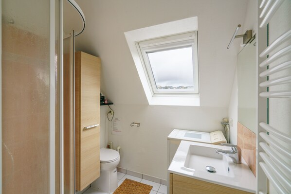A modern bathroom with a skylight, a toilet, a sink, and a shower area.