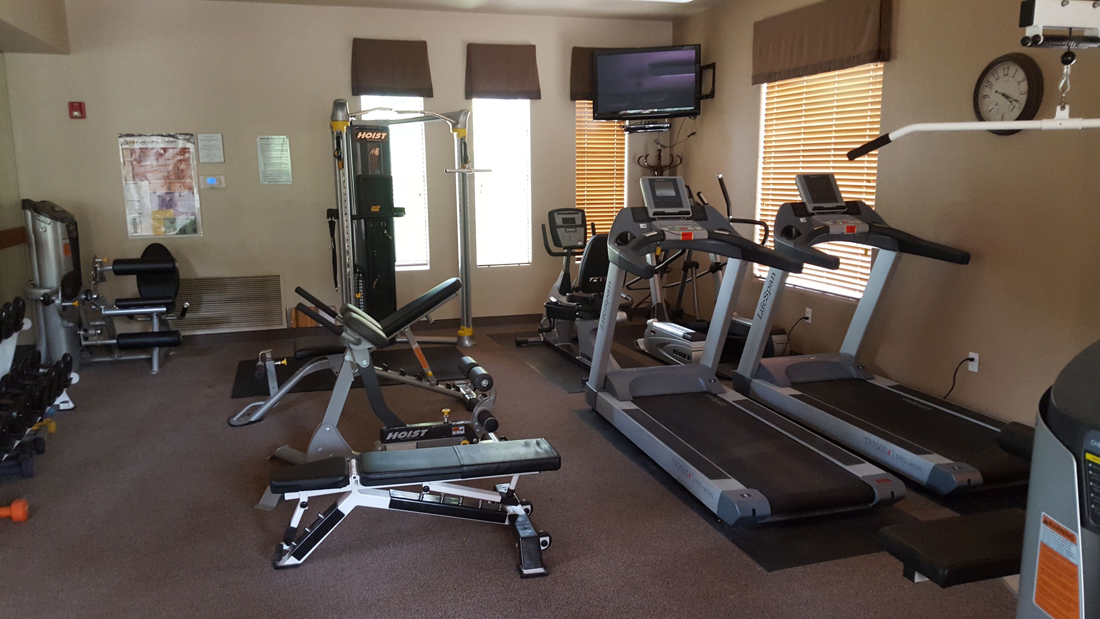 A gym with treadmills, weight machines, and a television.