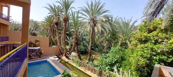 Exterior - Dar Oriam (Tiout)