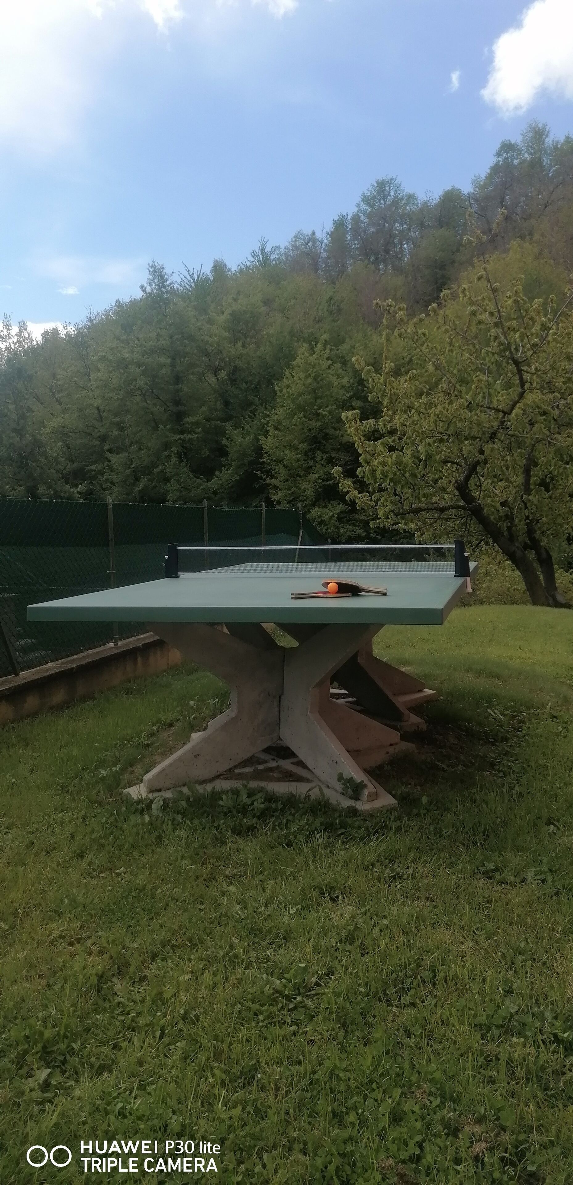 Una mesa de ping pong en un espacio exterior con superficie verde, rodeada de césped y árboles.