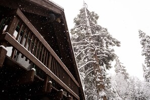 Property grounds - A-Frame Cabin in The Sequoias (Wofford Heights)
