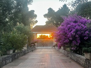 Un sendero pavimentado que conduce a un edificio con techo de tejas, rodeado de exuberante follaje y plantas en flor.