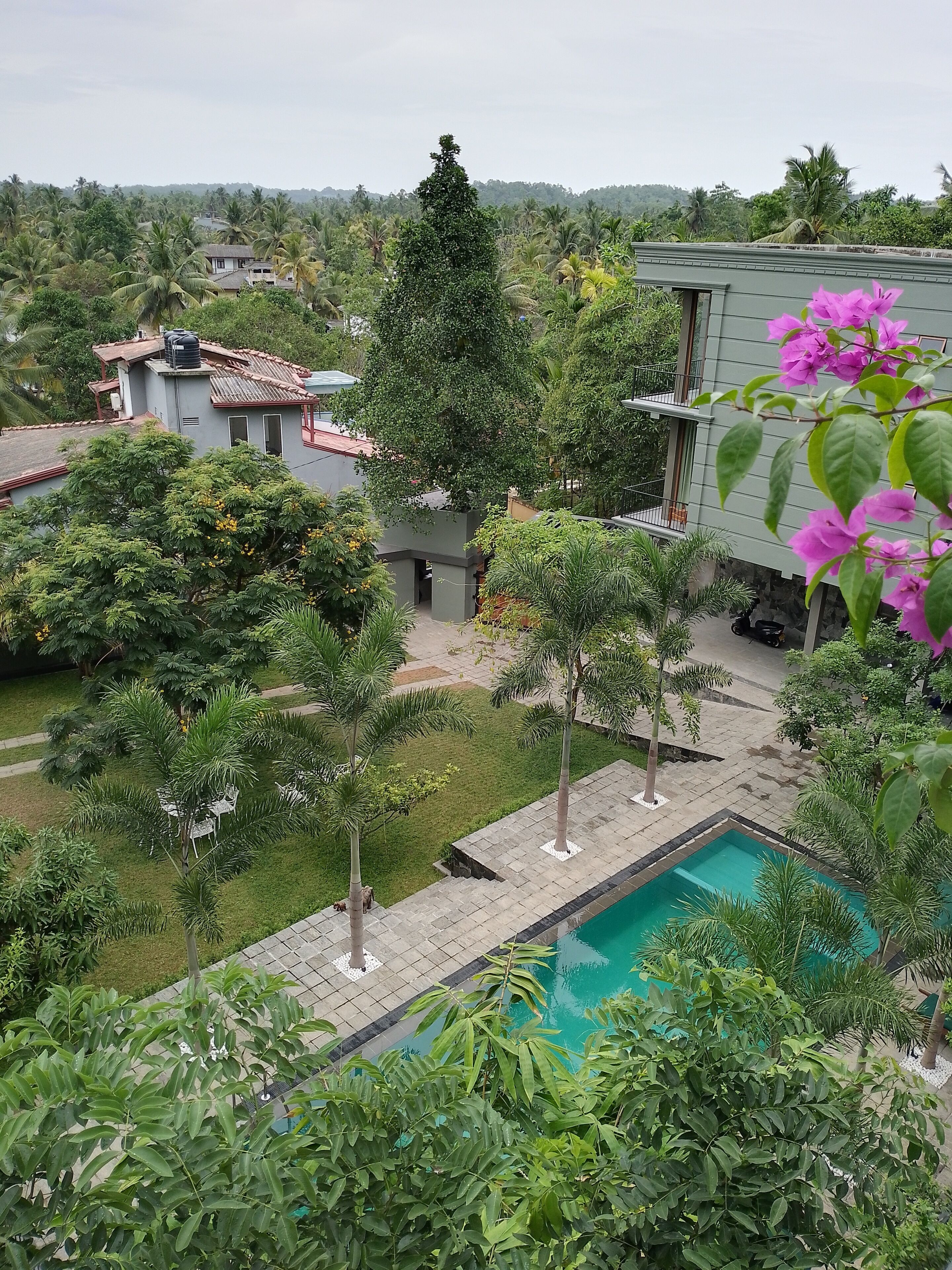 Zona residencial con piscina, rodeada de exuberante vegetación y palmeras.