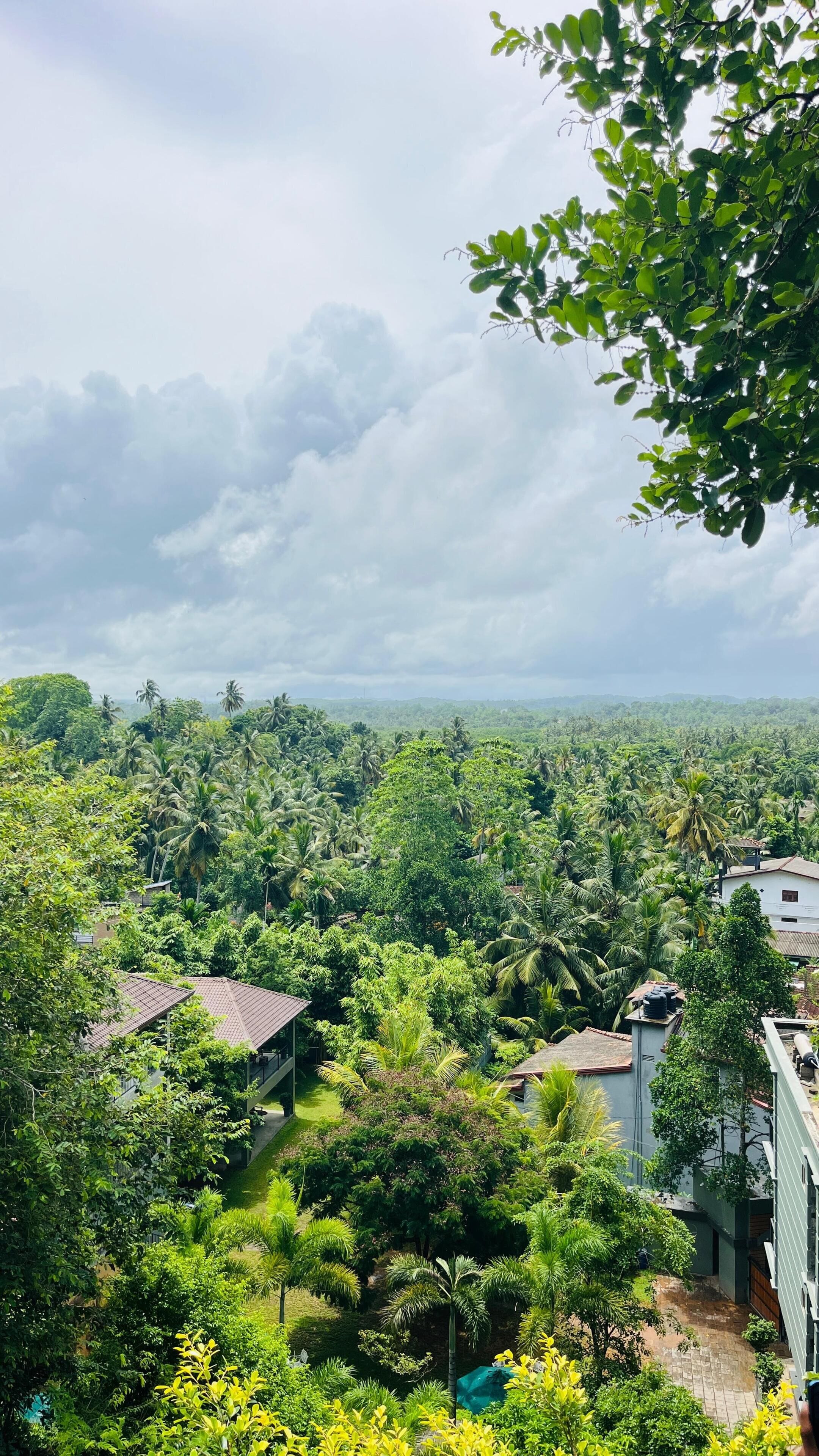 A lush green landscape with dense vegetation, a few buildings, and a cloudy sky.