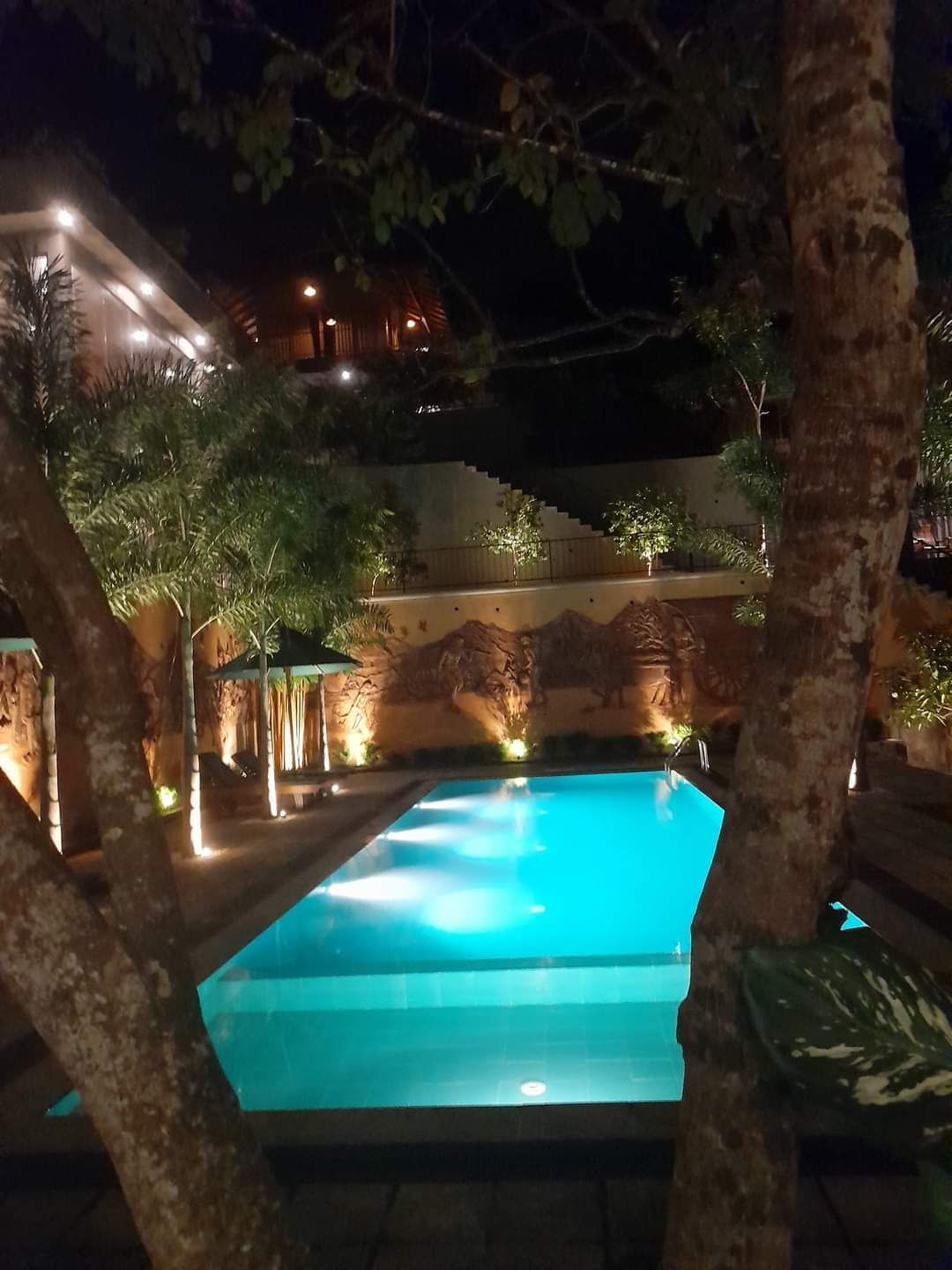 Una piscina rodeada de árboles y un edificio con luces.