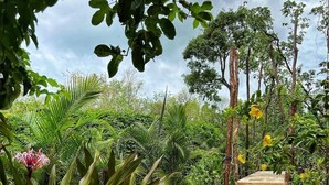 A garden pathway leading to a wooden staircase surrounded by lush greenery and tropical plants. - ANANA Yaaxlum 105 S (Tulum)