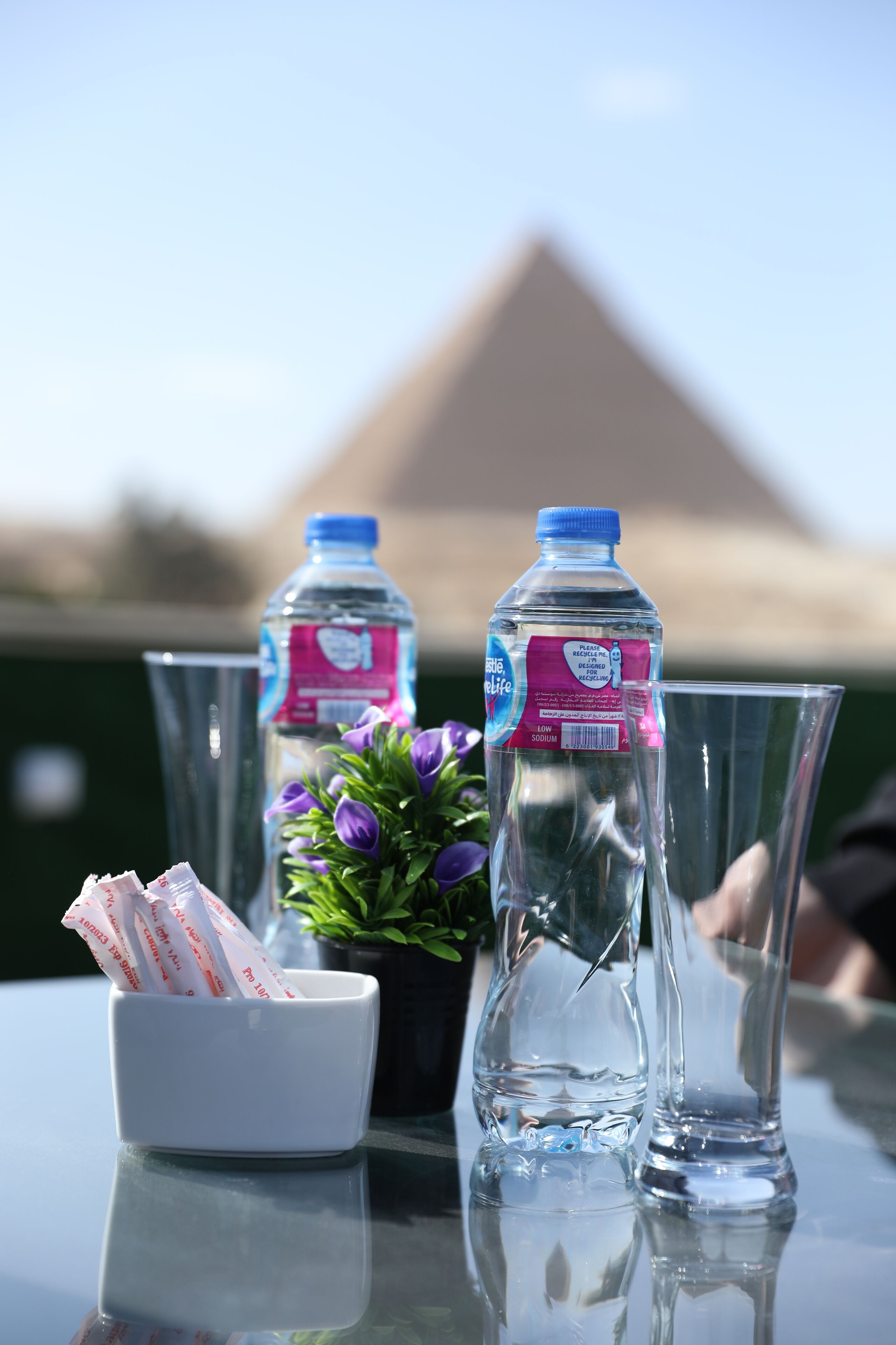 Foto - Capital Of Pyramids Hotel