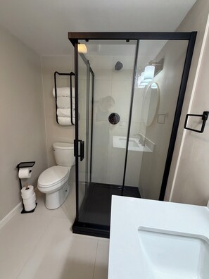 Shower, hair dryer, towels, soap