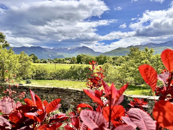 Property grounds - Chez Marie - Asson - Gîte (ASSON)
