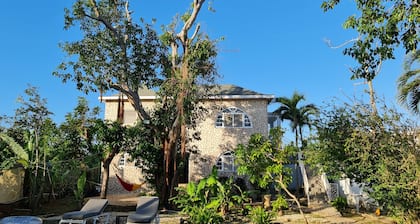 Ella villa Negril Jamaica relaxing peaceful swimming pool and 20min from beach!