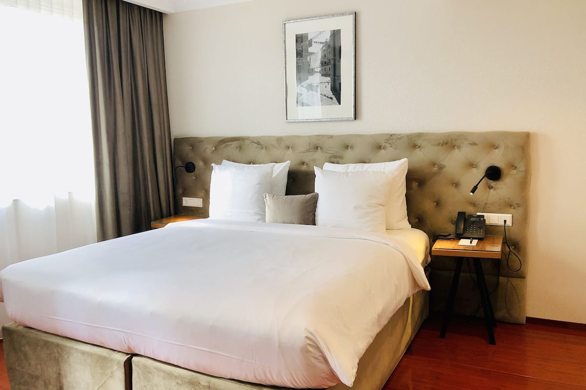 Chasse Cozy Room
