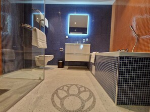 Grand kamer | Badkamer | Een douche, een regendouche, een haardroger, handdoeken
