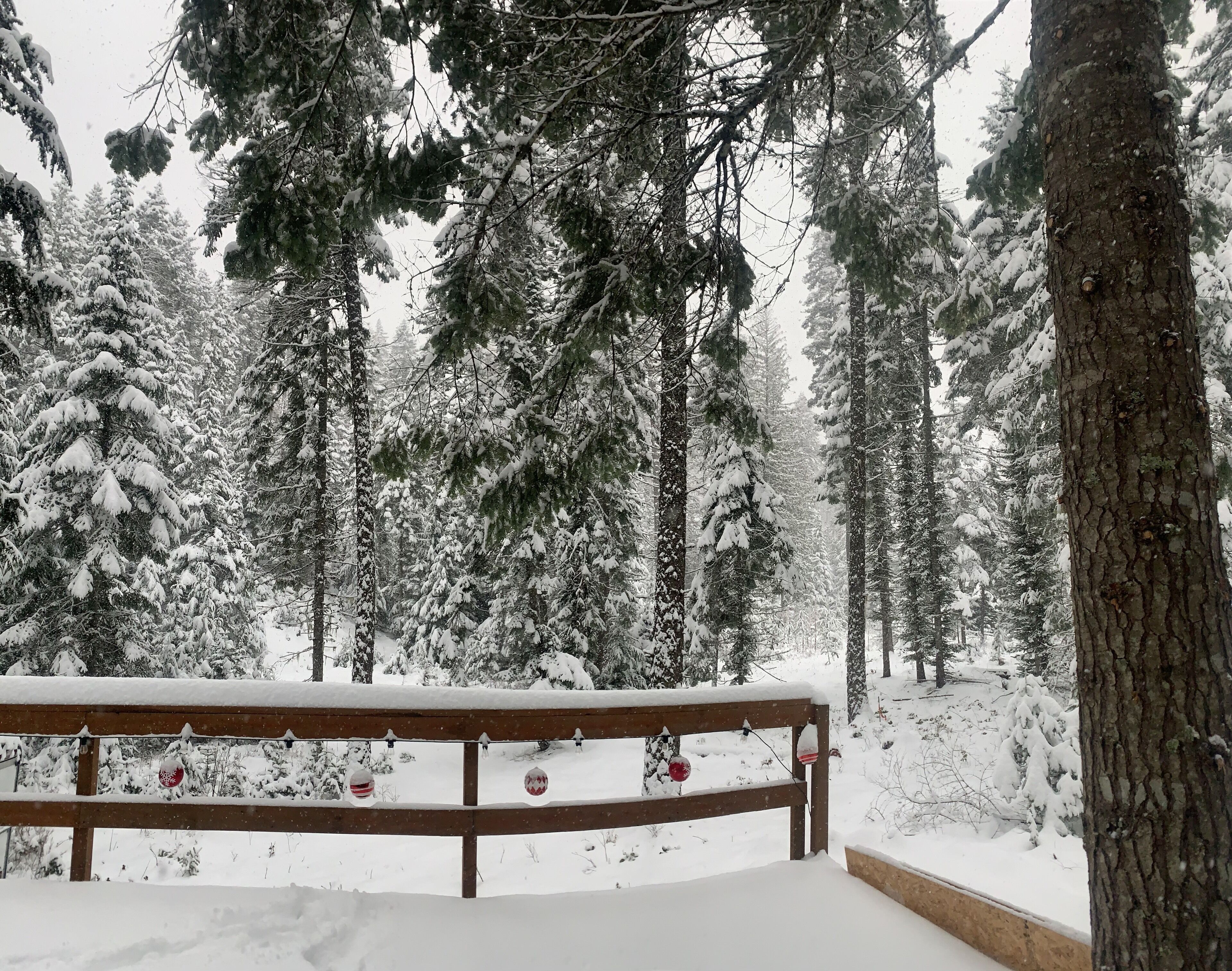 Eine hölzerne Bank in einem verschneiten Wald, umgeben von schneebedeckten Bäumen und mit roten und weißen Verzierungen.