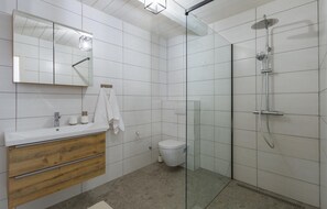 Shower, hair dryer